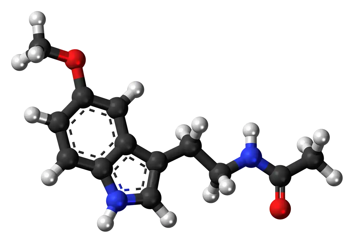 Melatonin Grafik